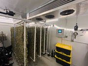 Cannatrol’s Retrofit Solutions for Dry, Cure, and Store: Custom Fit for Any Scale