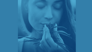 Trichome Integrity- If the terps are in your nose, they aren’t in your plant