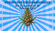How Curing Enhances the Entourage Effect