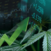 Green arrow pointing up and stock market graphic with a cannabis leaf