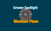 Grower Spotlight: Nineteen Pines