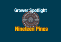 Grower Spotlight: Nineteen Pines