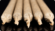 Five pre-rolls lined up next to each other on black background