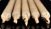Cannatrol Introduces Commercial Storage Solutions for Cannabis flower with the S-Series. Changing the game for pre-roll production