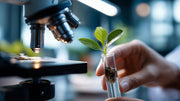 The Growing Role of Vaportrol Technology in Cannabis Research