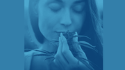 Woman smelling cannabis with a purple filter applied to entire image