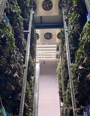 Vertical farm with plants on either side and a central light fixture.