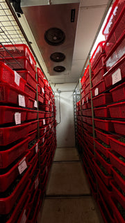 Stacks of red storage bins in a warehouse setting