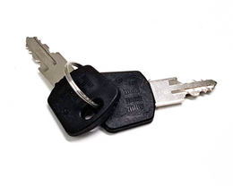 Two keys on a keychain against a white background