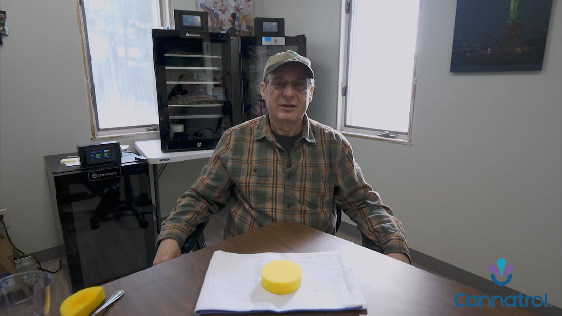 David Sandelman speaking about Water Activity