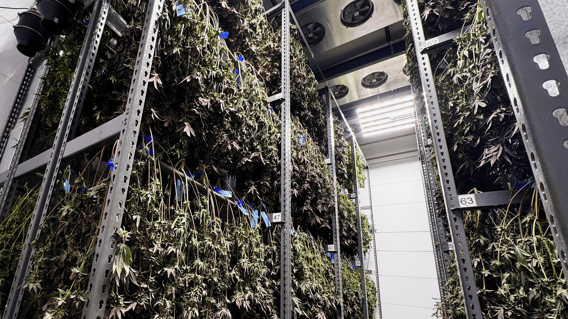 Vertical farm with plants growing in a controlled environment.